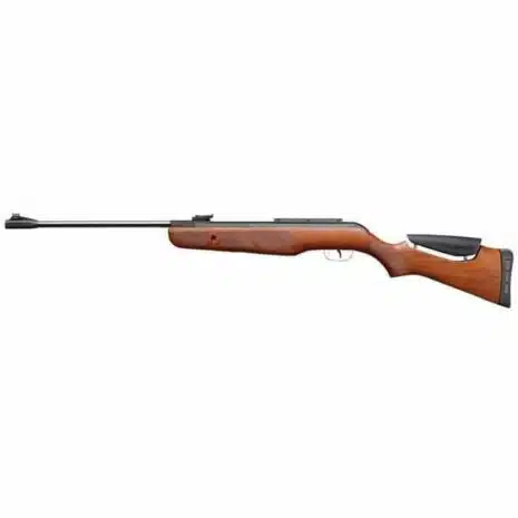Gamo Hunter DX